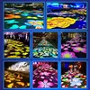 Waterproof Outdoor Custom Goldfish Cloud Pattern Dynamic Fish Light Dynamic Creative Projection Light 6