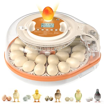 22080-f0fdd9.jpg 26 Egg Incubator with Automatic Turning, Temperature and Humidity Control, LED Egg Candler, and Auto Water Addition, for Hatchin