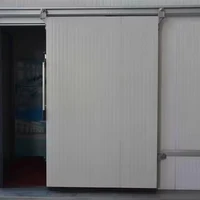 Sliding door 1