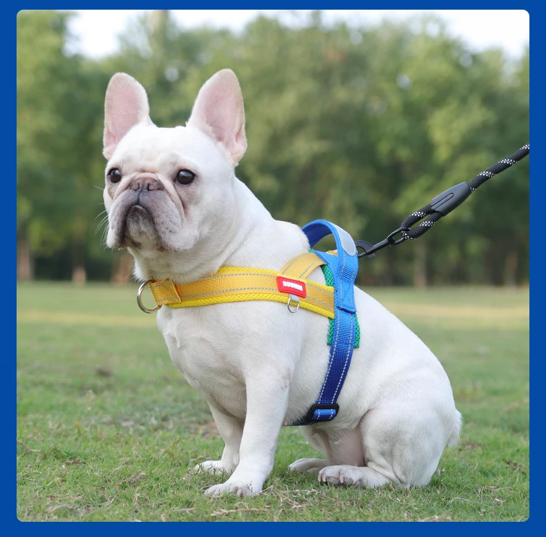Dog Harness No Pull Reflective Vest For Small And Medium Dogs_voghion.com