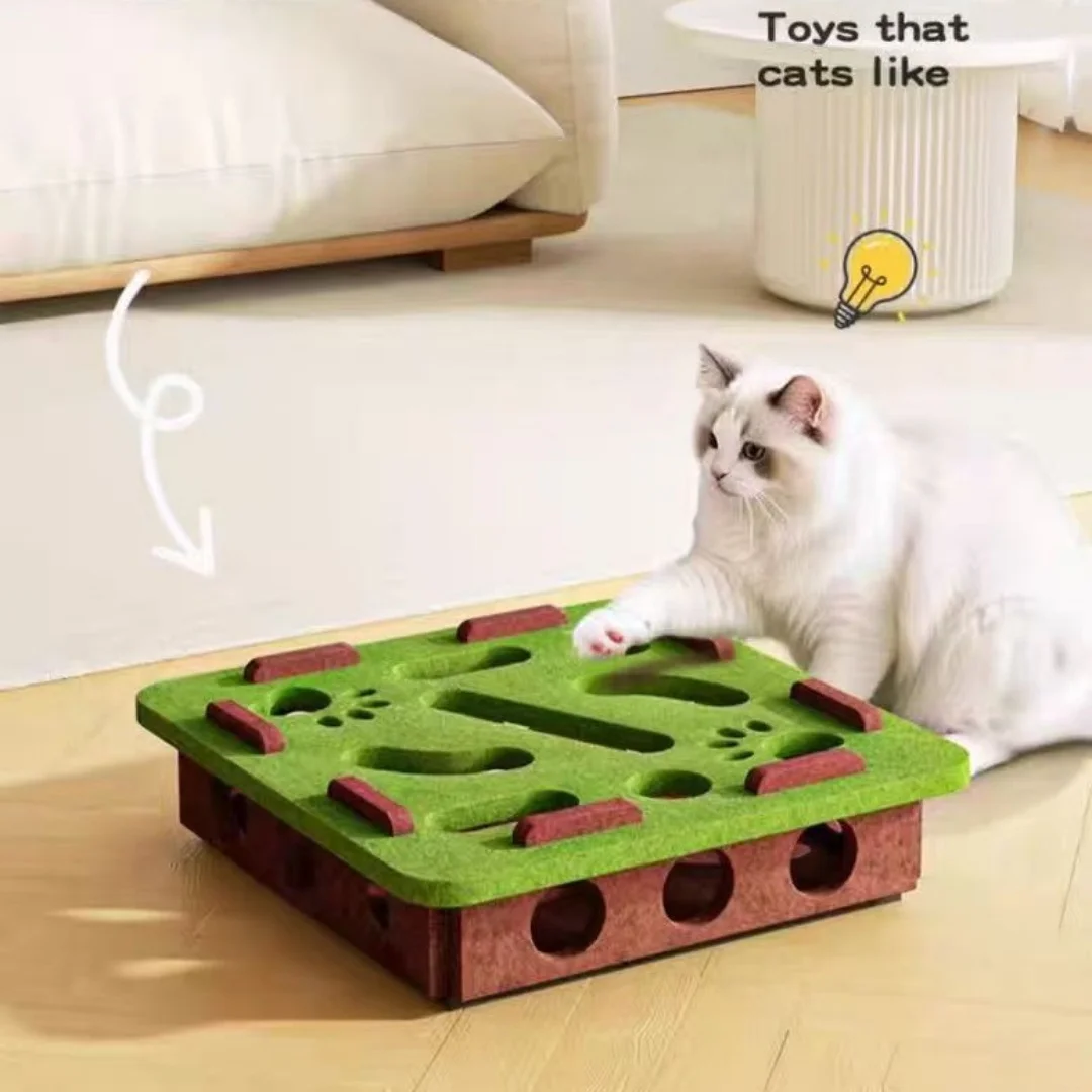Interactive Cat Puzzle Box