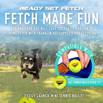 Pet Supply Ready Set Fetch Mini Automatic Tennis Ball Launcher Dog Toy - Electronic Mini Tennis Ball Thrower for Fetch +Playtime 2