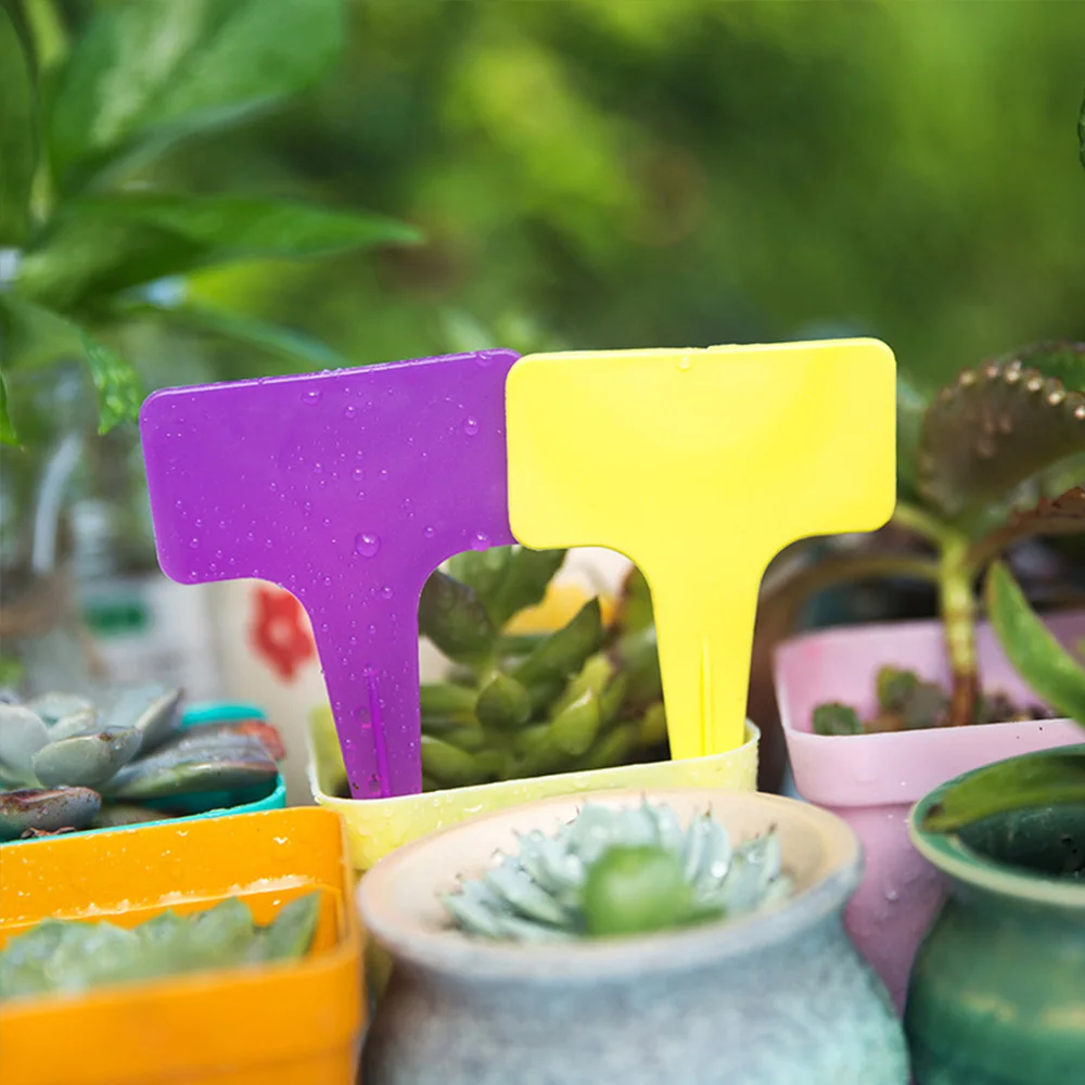 100 Etichette Da Giardino Impermeabili - Segnapianti A Forma Di T Per Orto E Piante - Foto 2
