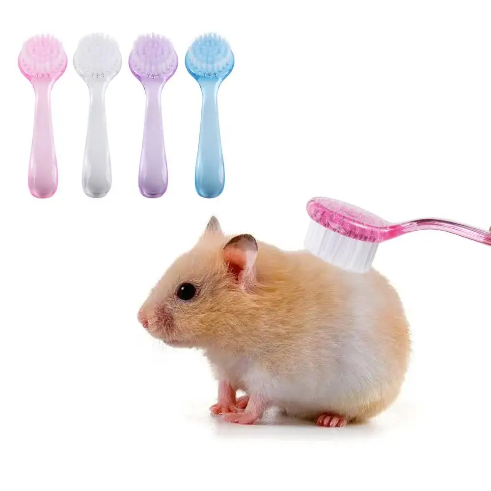 Soft Small Hamster Brush Plastic Long Hair Golden Bear Cleaning Comb Hamster Cleaning Brush Bath Mini Brush
