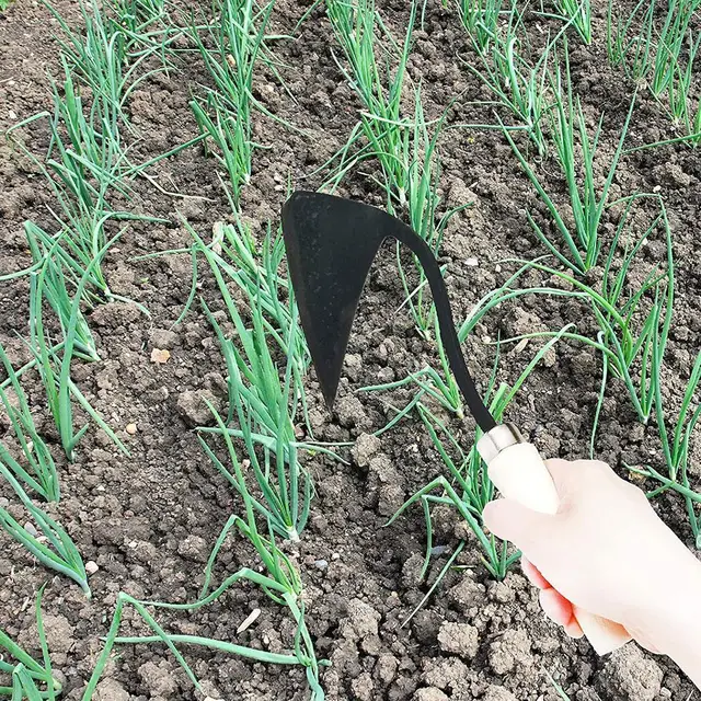 Kézi Eke Fa Rövid Fogantyú Kapa Koreai Stílusú Hagyományos Kerti Ásó Szerszám Jobb Otthoni Kiegészítőkhöz 30 Cm S2Z6 - Image 6