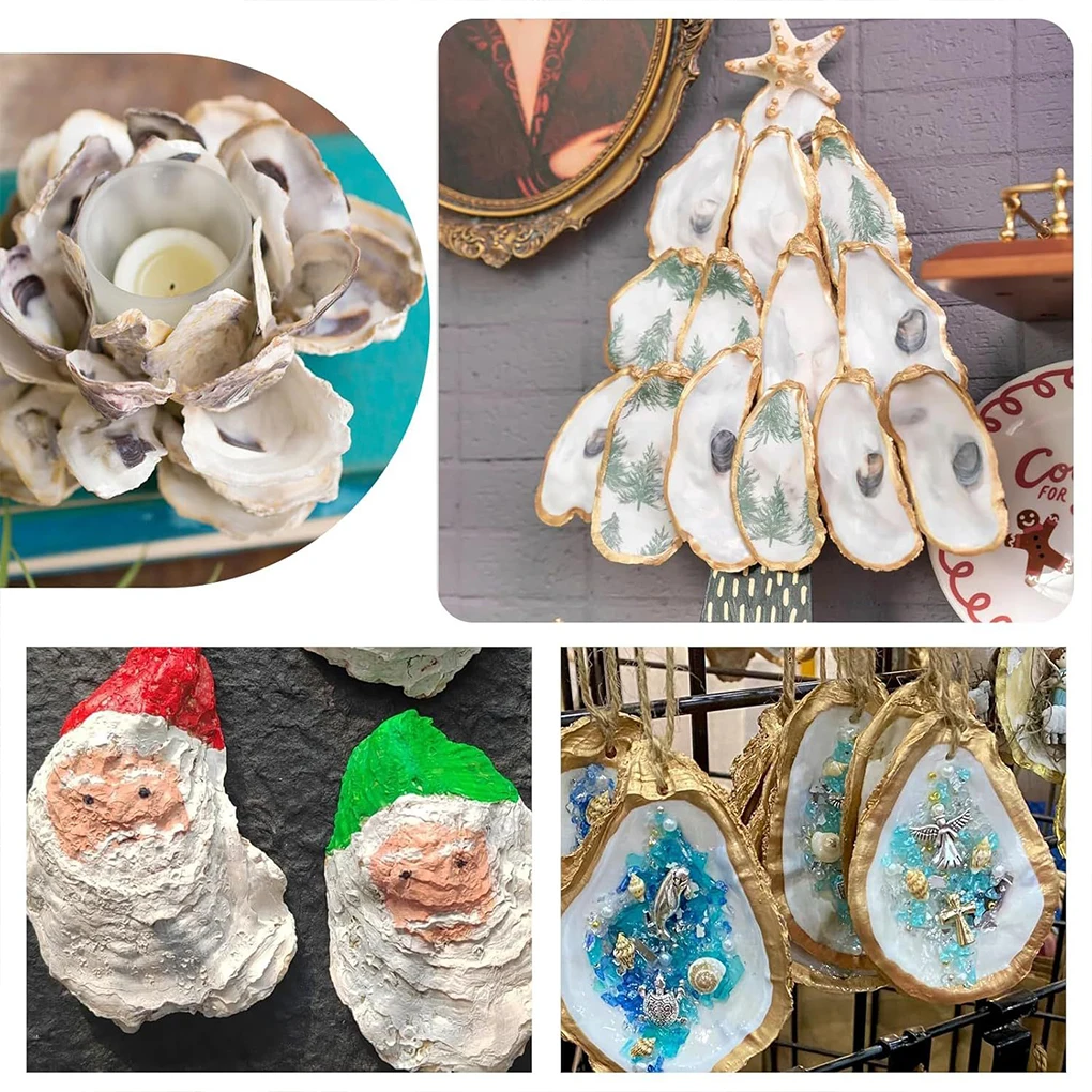 Natural Oyster Shells - Eco-Friendly Vase Fillers for DIY Crafts and Home Decor