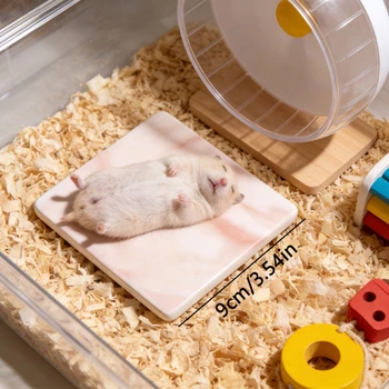 Tappetino Refrigerante Specifico per Criceti, Resistente ai Morsi e alle Strappature, Facile da Pulire, per Piccoli Animali Domestici