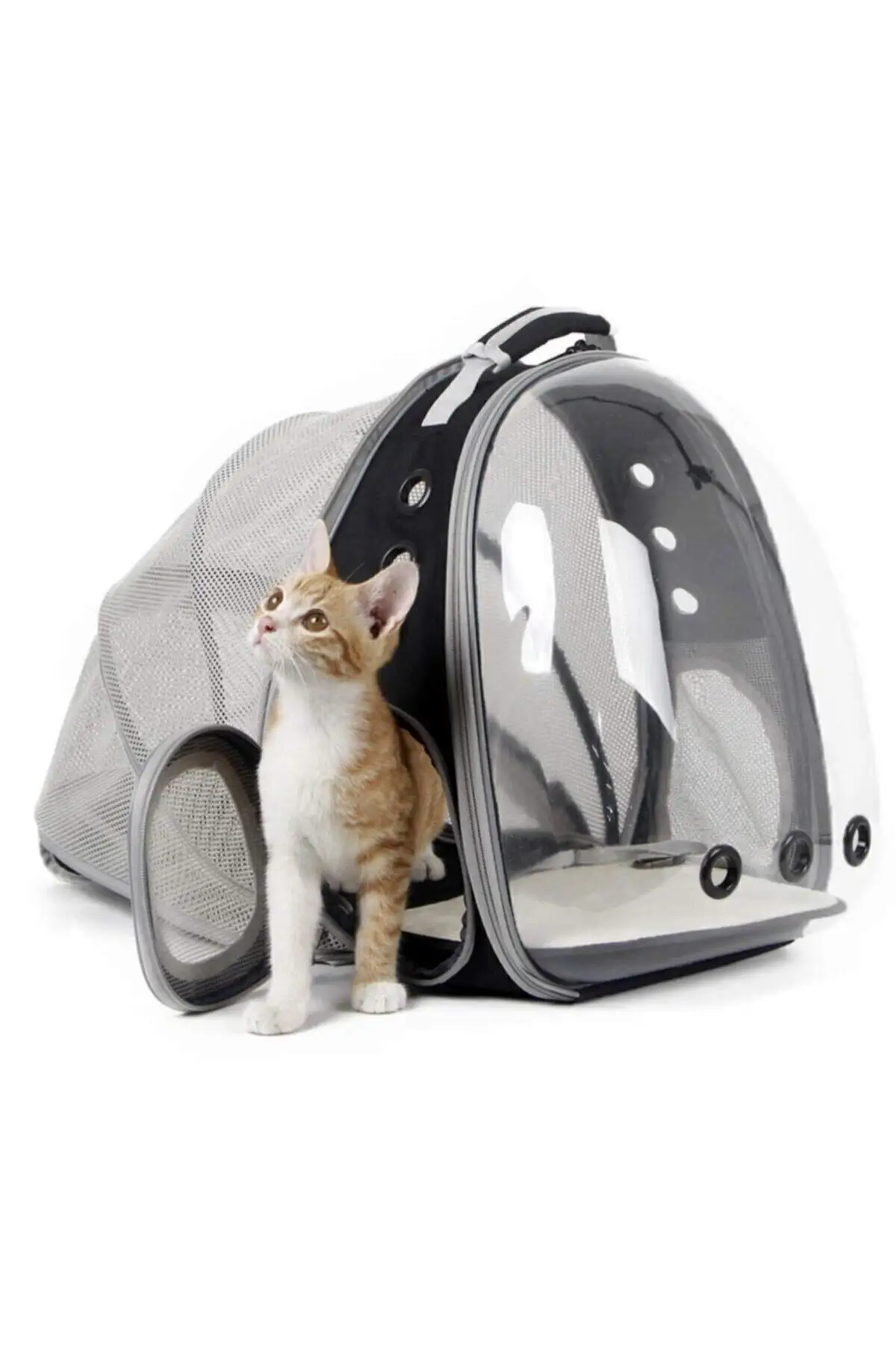 Mesh Apribile Trasparente Astronauta Gatto Pet Borsa Per Il Trasporto Black Cave God Cat Pet Home Nest Box Sleeping Bed