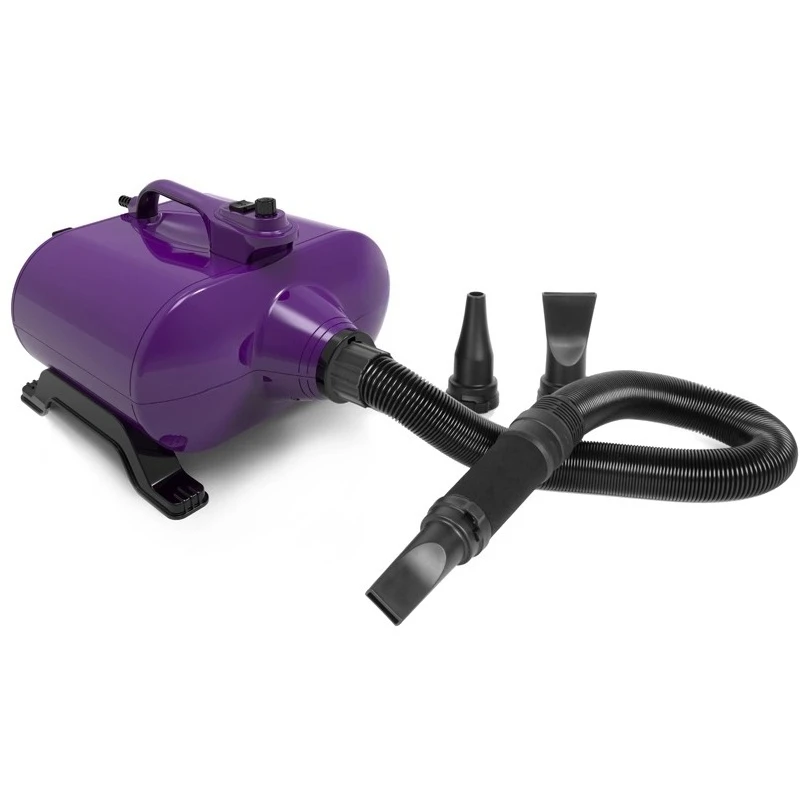Pet Large Dog Special High-power Big Dog Blowing Silent Hair Dryer Double Motor
