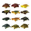 12Pcs Mini Turtle B