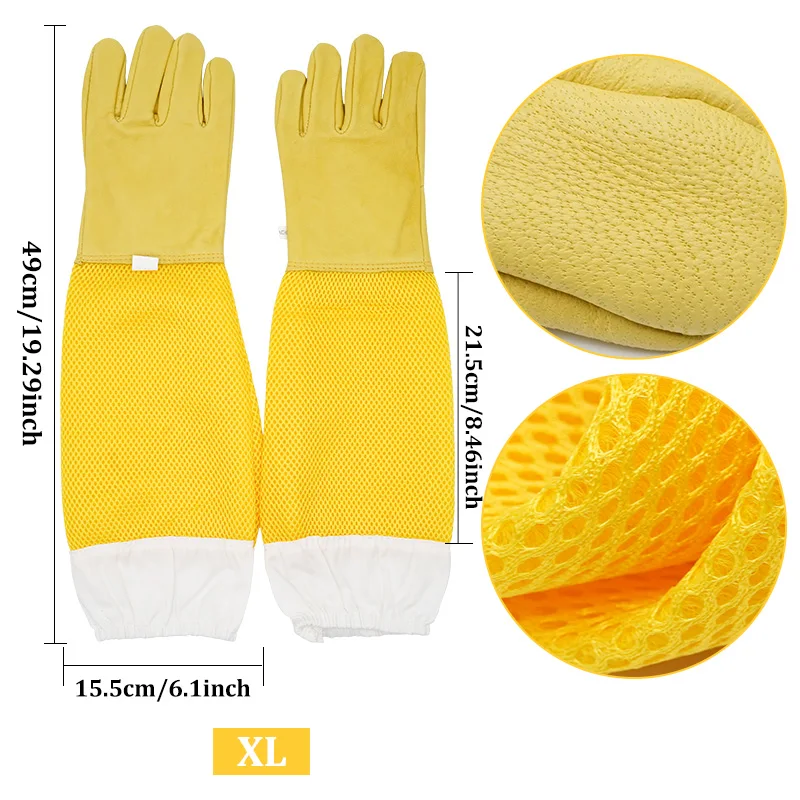 XL
