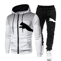 Ensemble sweat-shirt à capuche pour hommes, ensemble sweat-shirt à capuche + pantalon, vêtements de sport, de course et de loisirs, automne et hiver 2025 1