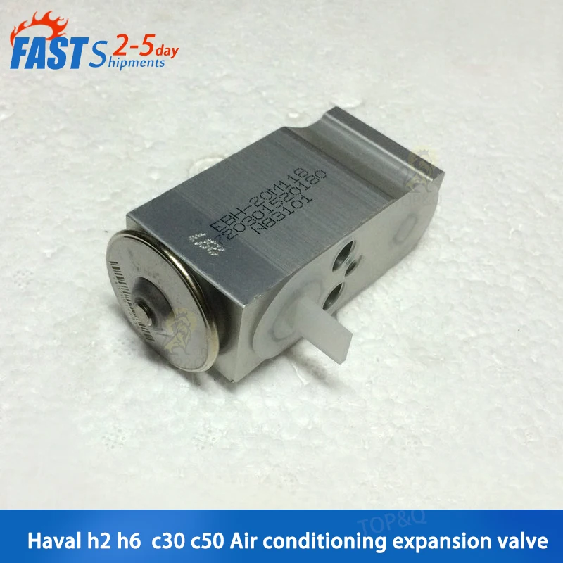 Fit for Great Wall Haval H2 H6 Tengyi C30 C50 Dazzling Universal Air Conditioning Expansion Valve