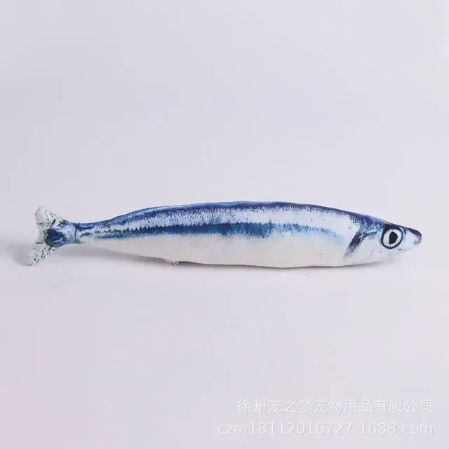 Image 24
