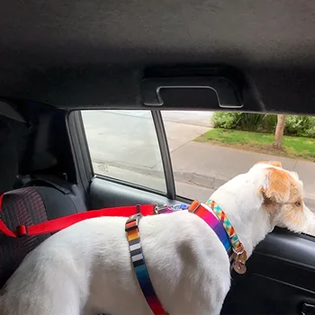 Two-in-One Pet Seat Belt 4