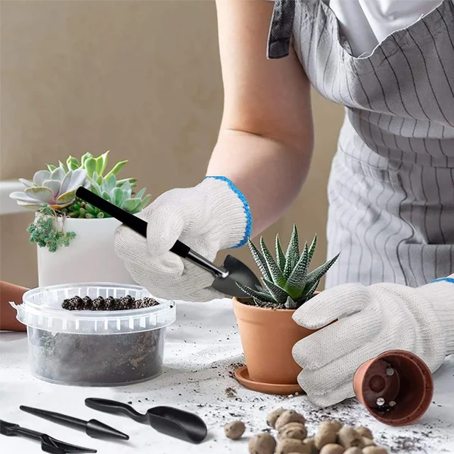  10 piezas de herramientas para bonsai,Kits de herramientas de  jardinería,Herramienta de siembra para cactus suculentos,Herramientas de  bonsái para principiantes suculentas herramientas de trasplante kit de  accesorios de plantas de casa para