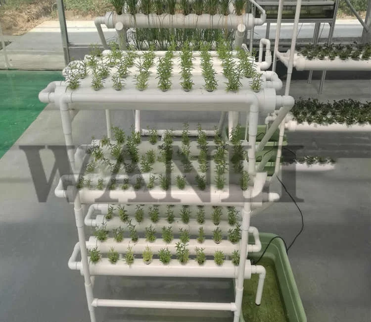 

Household Environmental Protection Balcony Hydroponic Vegetable Machinery Soil Cultivation PVC Pipe Machine Balcony Planter