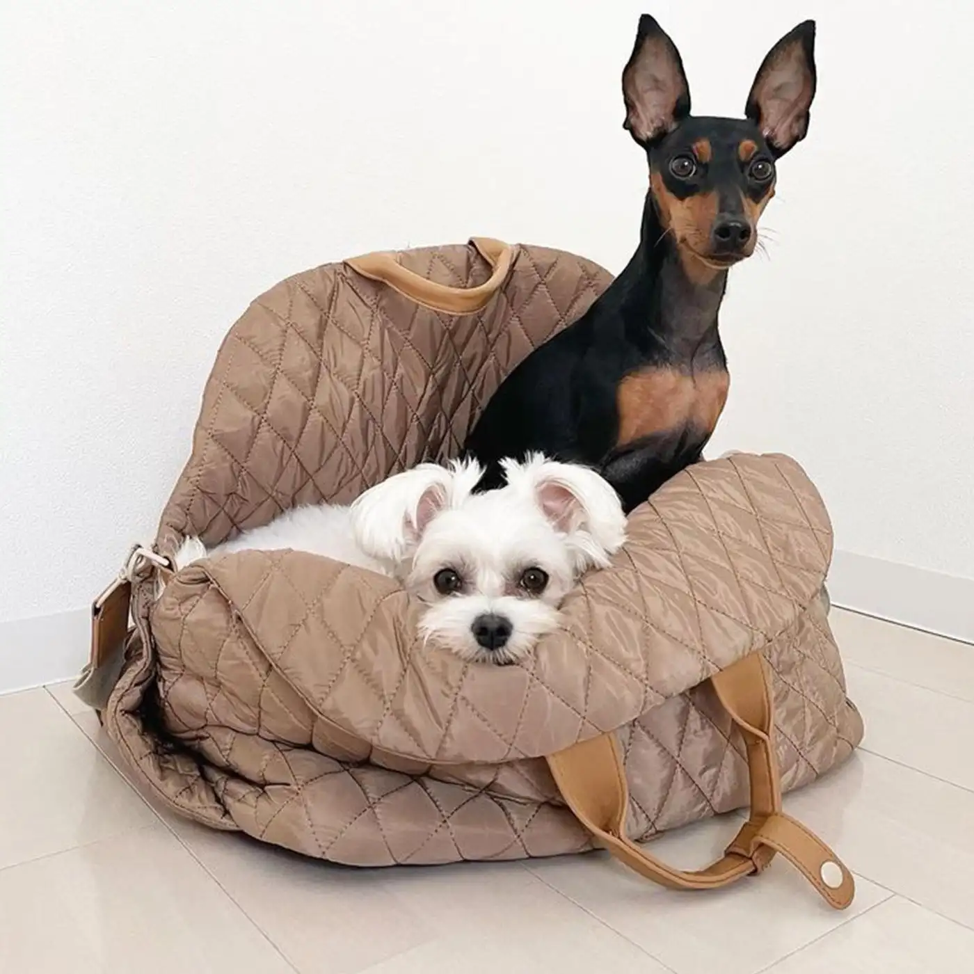 Pet carrying bag, puppy bag, cat sling, fashionable accessory/other pet backpacks （45cm*34cm*38cm）