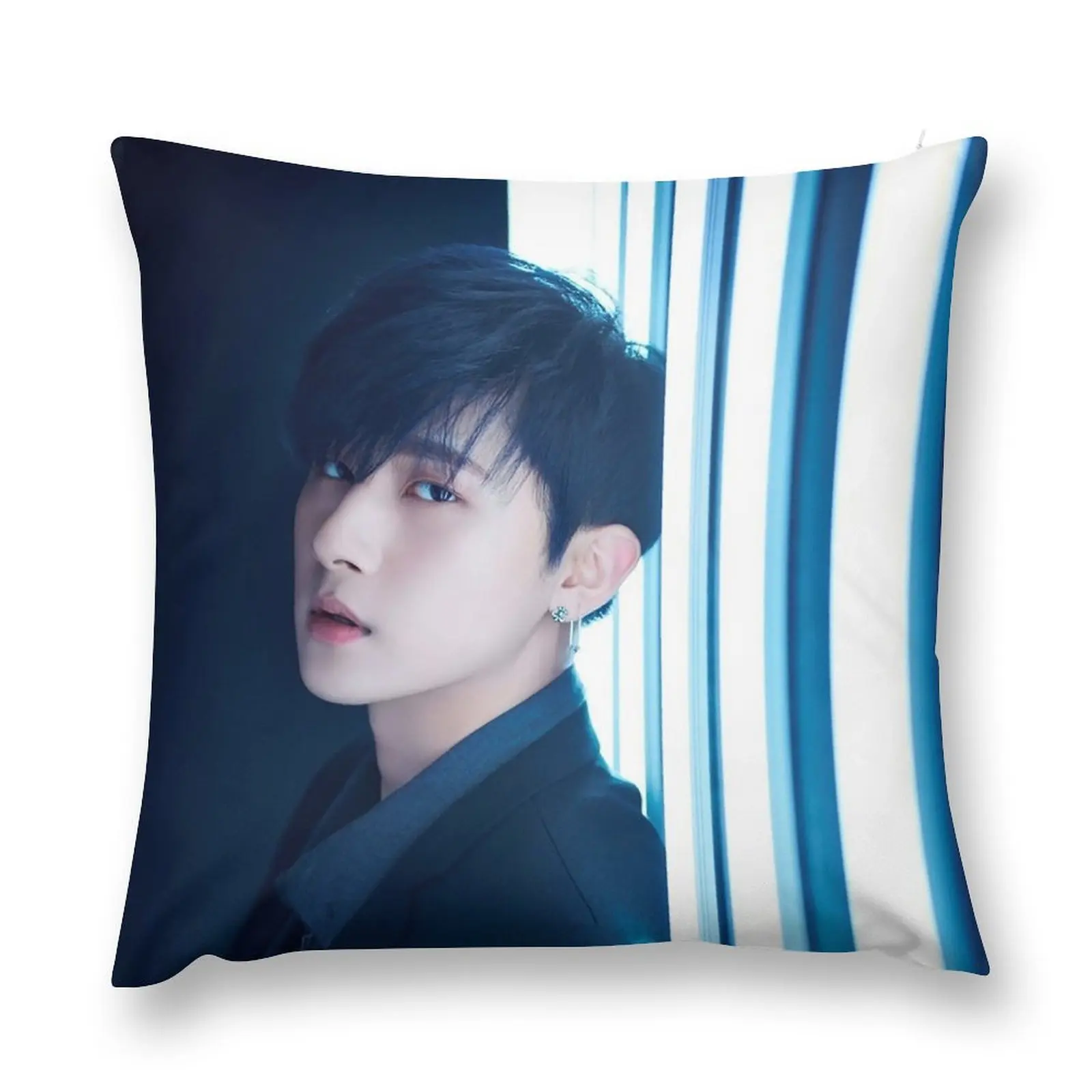 

I.M. Throw Pillow Couch Cushions Pillow Decor Throw Pillow Covers