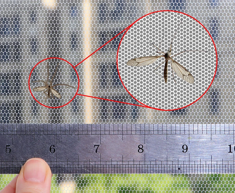 Description Picture 2 of itemFly Mosquito Window Net Insect DIY Simple Mesh Window Screen Net Indoor Mesh Bug Mosquito Net Easy To Fit With Tape Home Textile
