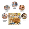 Creative Wooden Puzzle Lazy Orange Cat Funny Toy Animal Wood Puzzles Smart Games Shaped Jigsaw Puzzle Best Gift For Friends 4