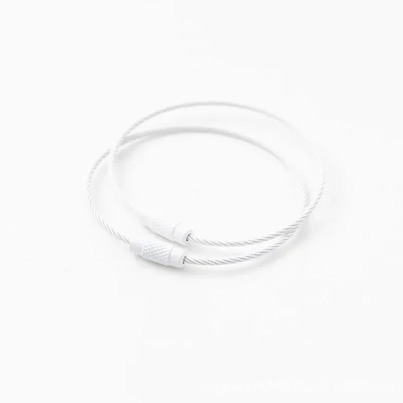 Prasacco 10 anelli portachiavi con corda metallica, 15 x 0.15 cm, in acciaio inox, morbido portachiavi con chiusura a vite, portachiavi multifunzione per bagagli, chiavi, ciondolo, Colore acciaio INOX