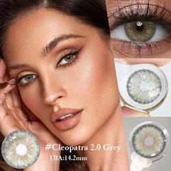 Gray Hazel 14.2mm Colored Contact Lenses - Enhance Natural Beauty - -8.00 (Cleopatra 2.0 Grey)