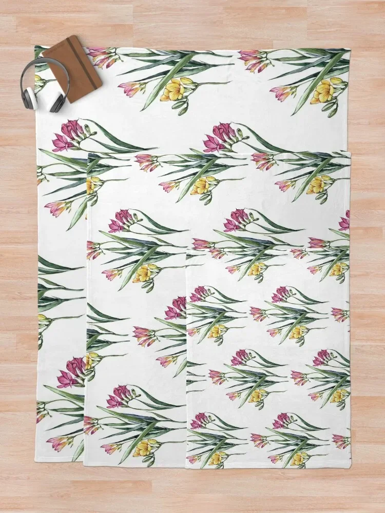 Freesias ������ ���, �غ� ħ��, �ö��� ������ ���, ����