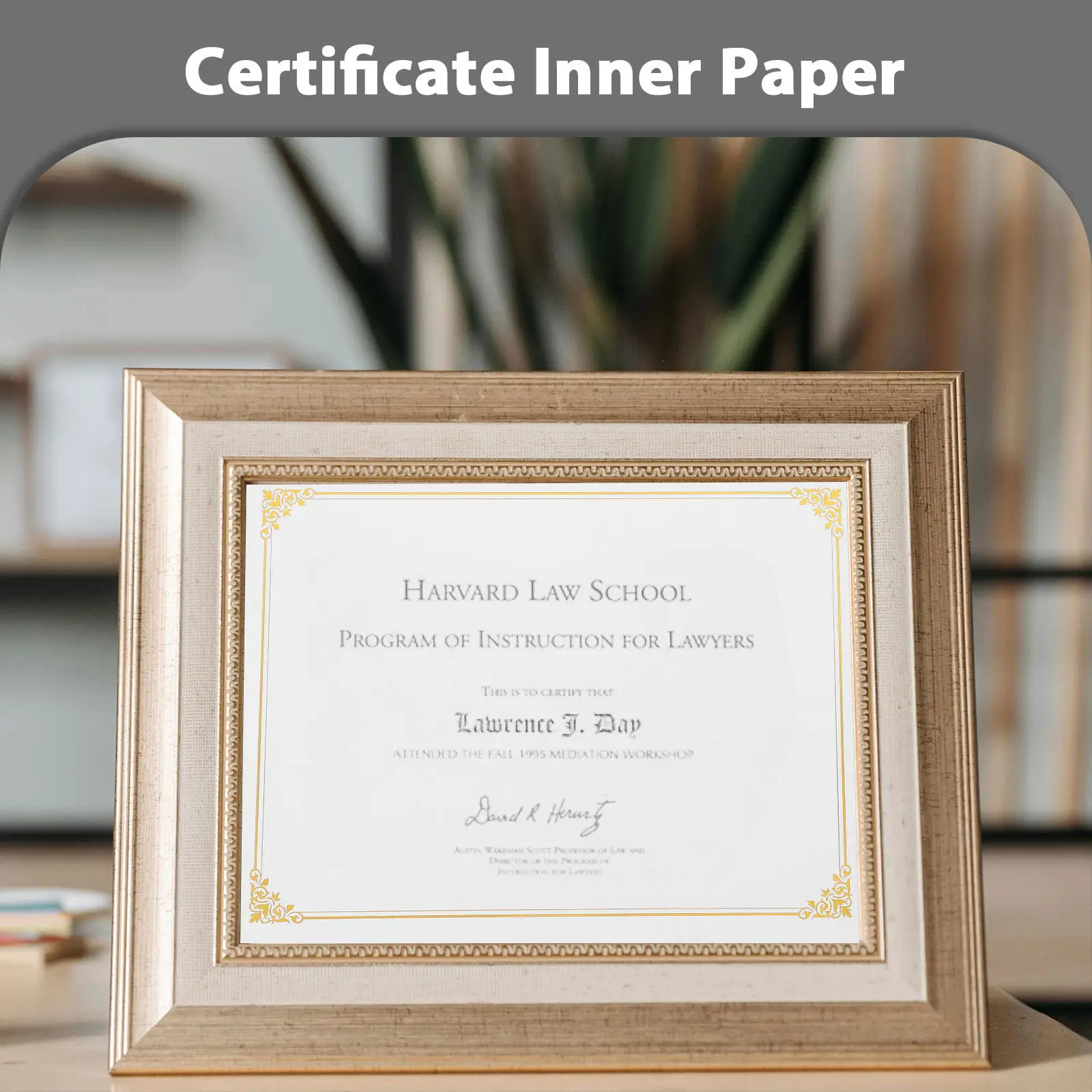 10Pcs A4 빈 인증서 용지 헤비급 쓰기 가능 디플로마 용지 상장 및 졸업 증명서를 위한 우아하고 심플한 디자인