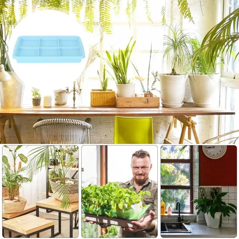 Seedling Sprouter Tray Soil-less Big Capacity Germination Tray Microgreens Plant Propagation Trays Healthy Wheatgrass Grower 5