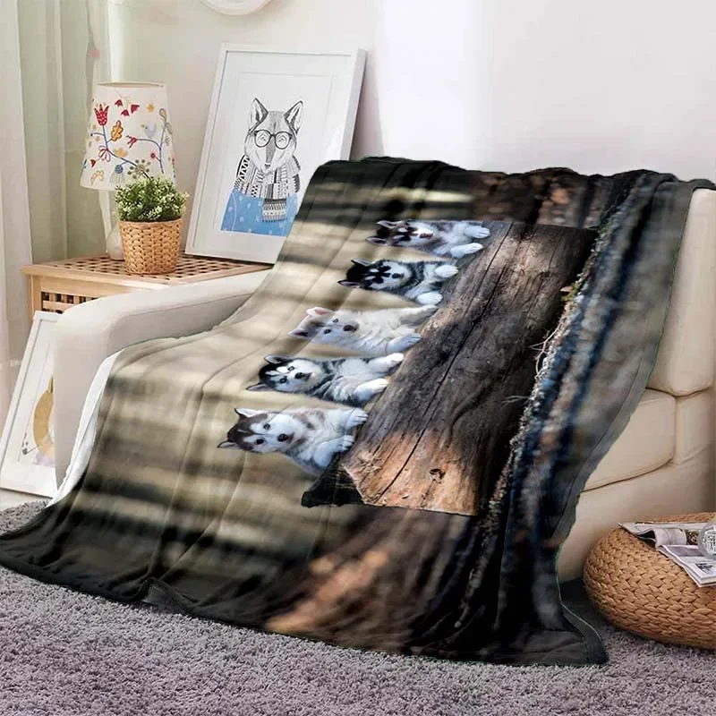 �����ϰ� �ƴ��� �㽺Ű �� ���� �ö��� ���, ����, ħ��, ����, �繫�ǿ�, �ε巴�� �ε巯�� ������ �μ� ���