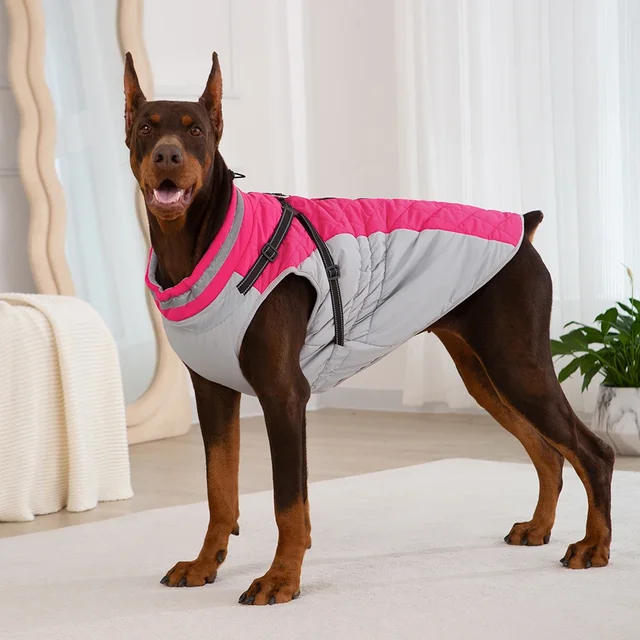 Waterproof Pet Jacket 3