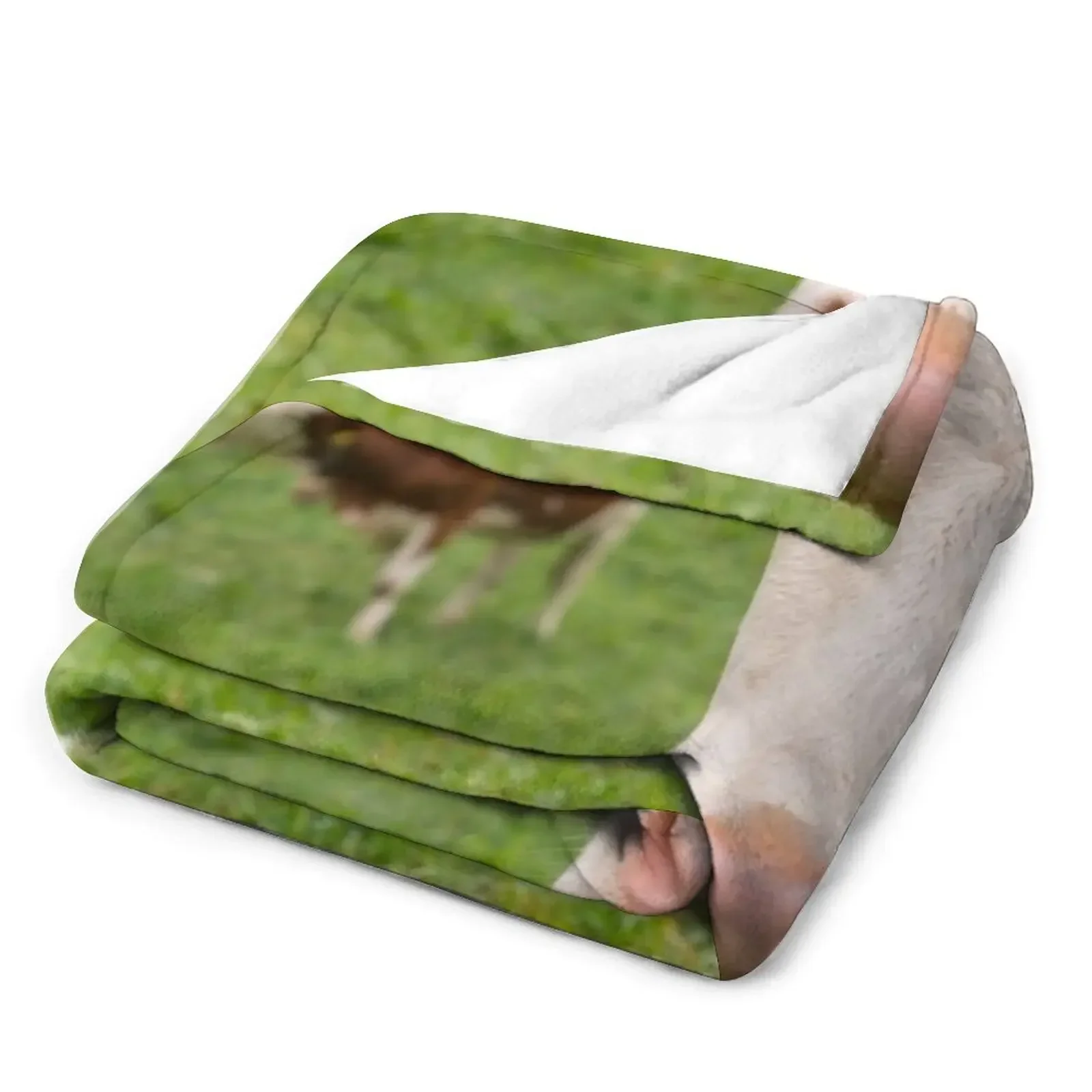 ������ ������ ���, ǫ���� ���� ���� ��� ���