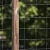 16 Gauge Galvanized Welded Wire Fence 6