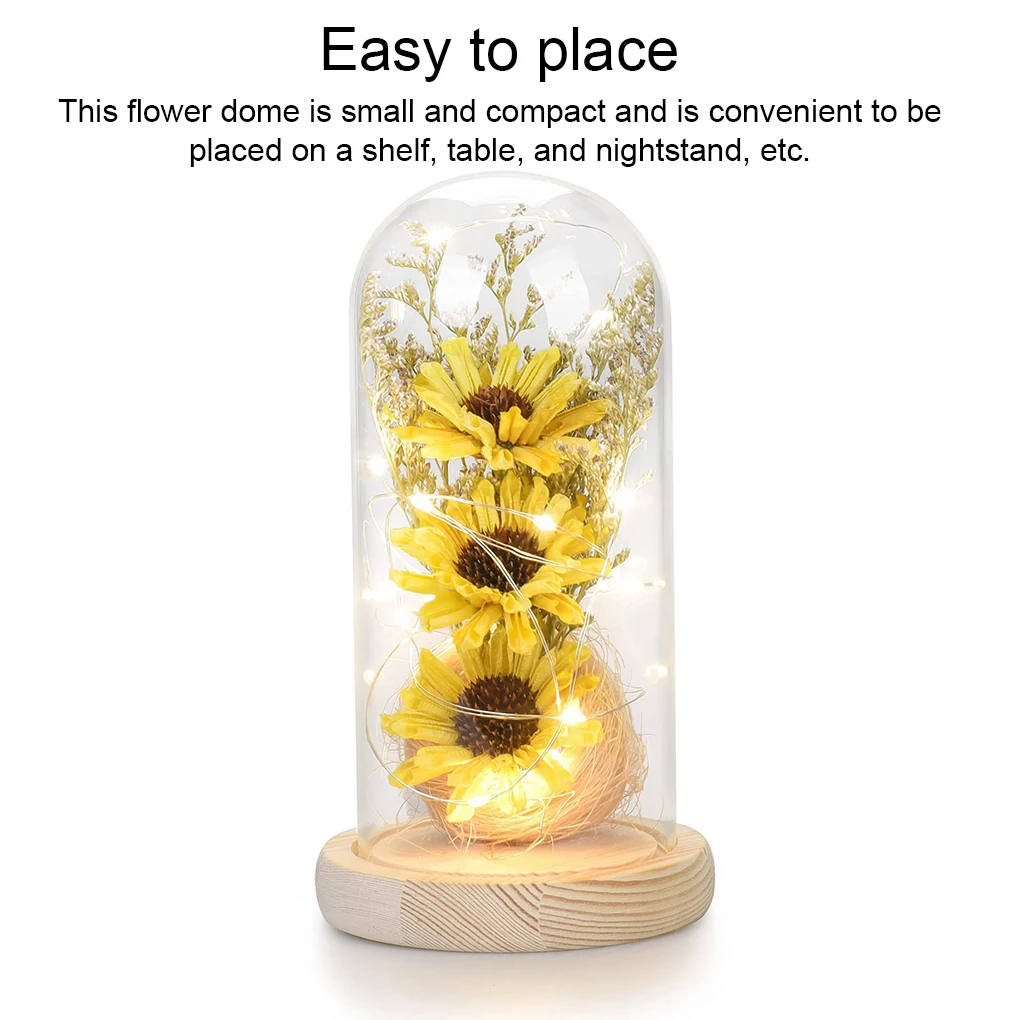 

Office Flower Dome Shelf Light String Decoration Glowing Ornament