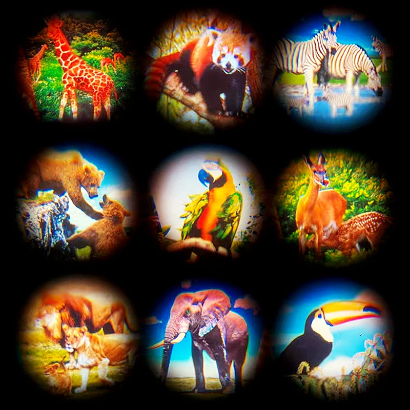 Mini Camera Toy Funny Animal Pattern Cartoon Kids Birthday Party Gift 5PC