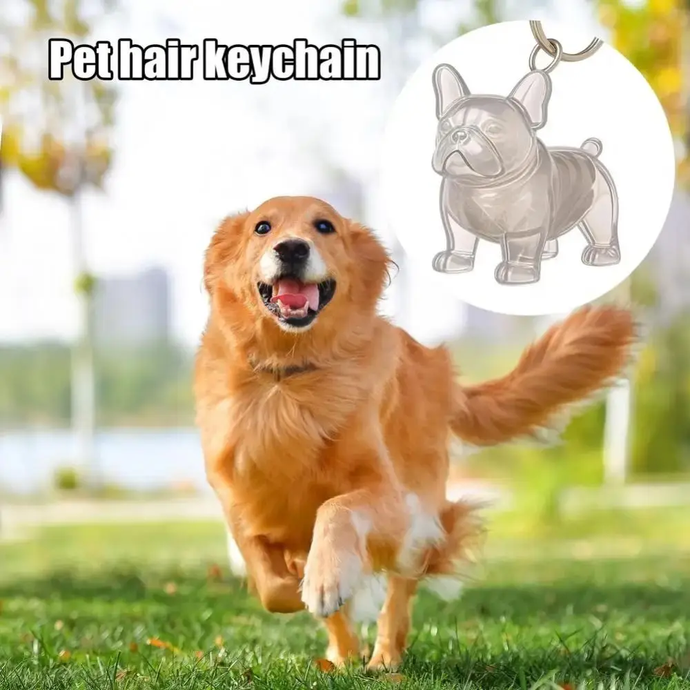 Cute Cartoon Dog Hair Storage Box & Transparent Keychain - DIY Handmade Acrylic Puppy Pendant