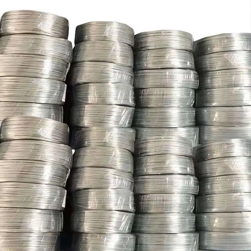 20cm DC 투명 케이블