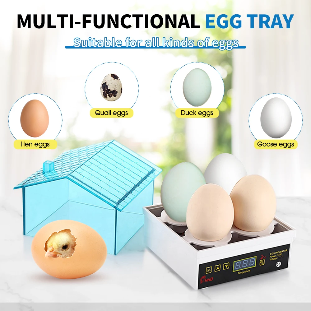 4-Egg Mini Incubator Small Household Automatic Constant Temperature egg incubator Can Hatch Eggs Of Chickens Ducks Turtles And Birds