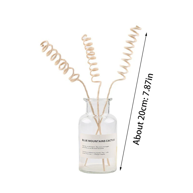Description Picture 2 of item5pcs Vine Aroma Volatile Stick Natural Reed Fragrance Aroma Oil Diffuser Rattan Sticks Perfume Volatiles For Home Refill Sticks