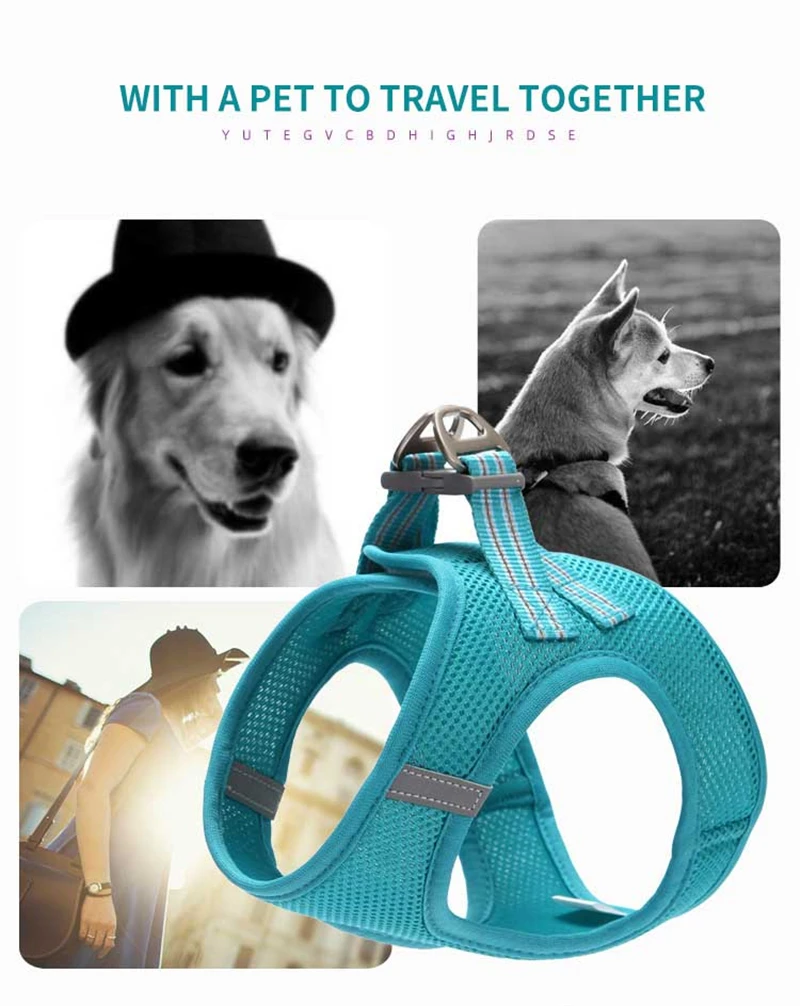 Dog Harness Vest Adjustable Pet Walking Lead Leash Puppy Cat Collars Harness for Small Medium Dog Pet Harness Accessories