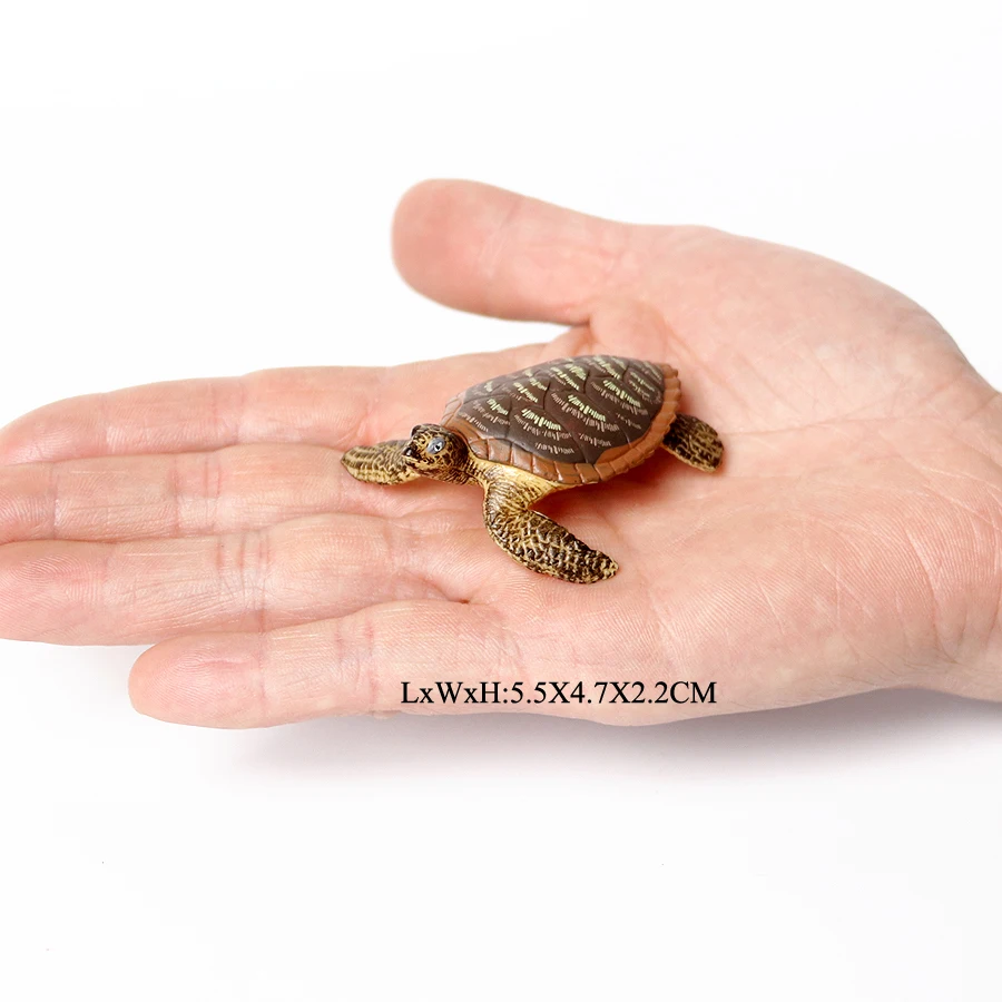 Realistic Sea Turtle Growth Cycle Educational Toy and Cake Topper Gift