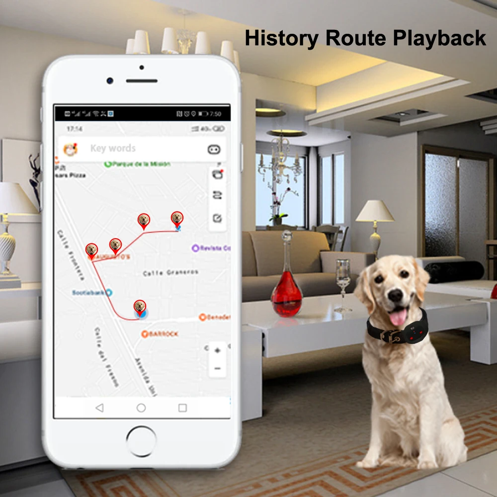 Mini 4G Pet GPS Tracker gps tracker Waterproof Dog GPS Collar With Dazzle Lights Animal Locator Support Geo-Fence Low Battery Alarm WIFI