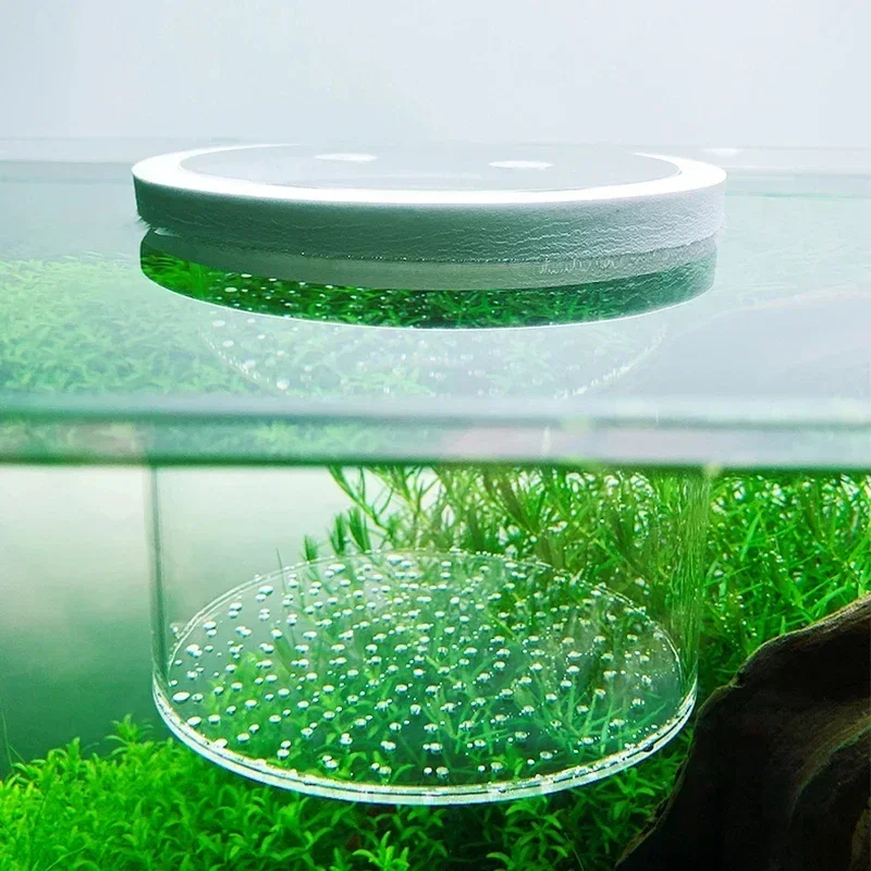 Transparent Acrylic Aquarium Isolation Breeding Box Fish Tank Floating Isolation Box Fish Egg Hatching Net Aquarium Accessories