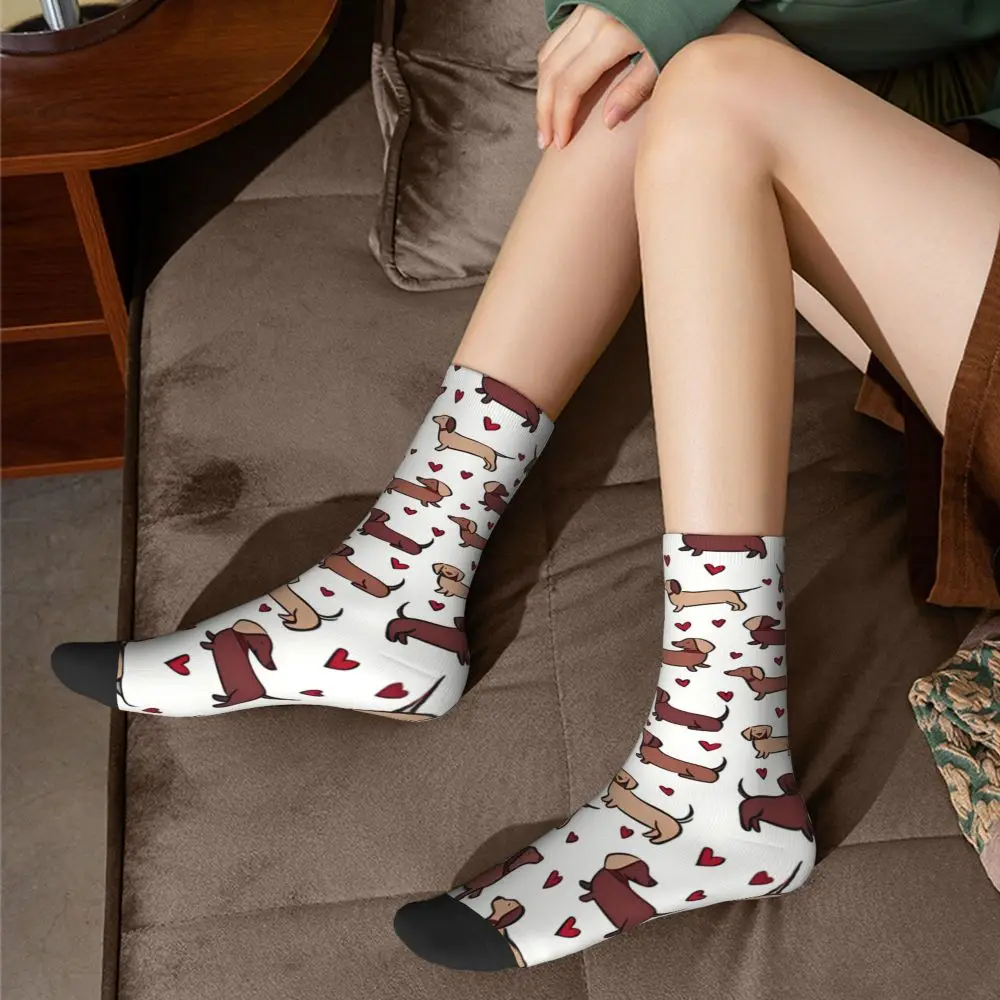 funny-dachshund-print-socks-for-men-women-autumn-stockings