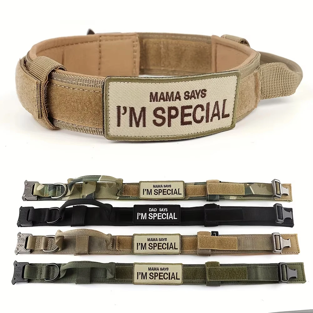 Taktisches Hundehalsband – Verstellbares Nylon-Halsband Mit Griff, Metall-Schnalle Für Große Hunde, Robust & Bequem (Größe L, Rot)
