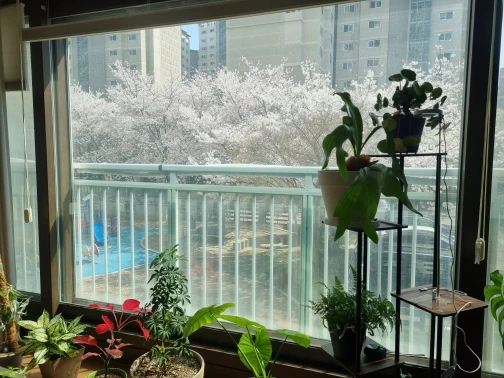 구매후기
