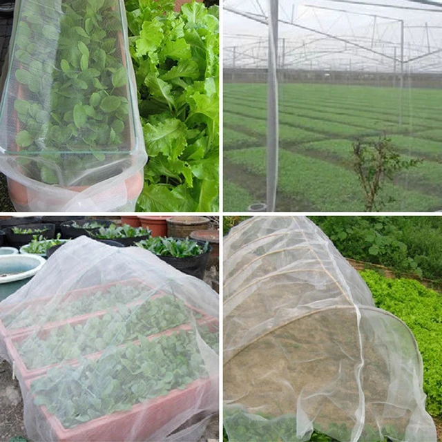 Greenhouse Net Cover 6
