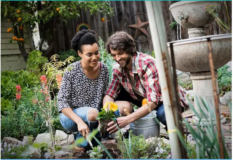 Description Picture 2 of item125/250g Gardon Flower Fertilizer Slow Release Bonsai Plants Pot Succulent Compound Fertilizer Universal Vegetables Fertilizer