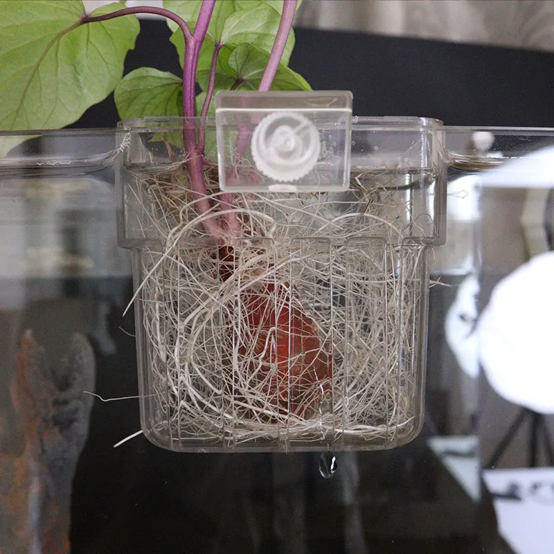 Fish Bubbles Aquarium Water Grass Hydroponic Planting Cup Multiple Planting Basket For Fish Tank Landscape